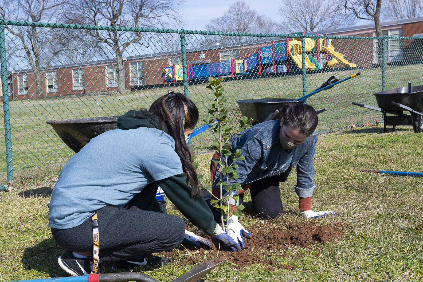 two people planting a tree with a playground in the background